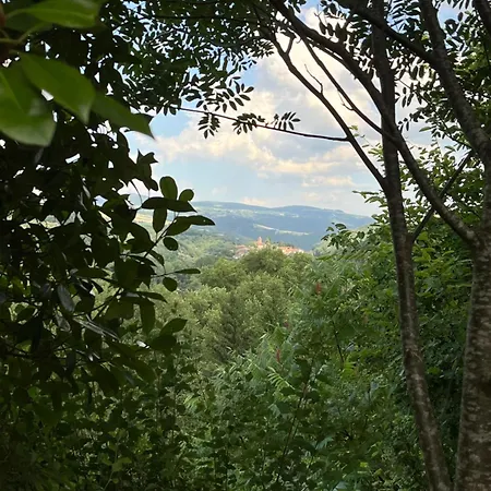 Apartamento Vue Exceptionnelle & Terrasse Au Calme -studio Independant - Gorges Du Allier *